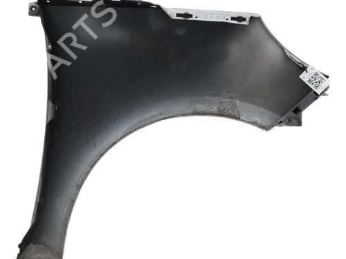 Left front fenders RENAULT SCÉNIC III (JZ0/1_) 1.5 dCi | BP29495364C41 