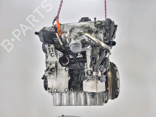 Engine VW TOURAN (1T1, 1T2)  | BP28372243M1 
