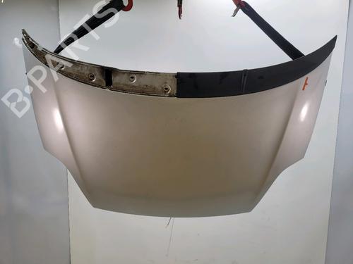 hood-fiat-punto-evo-199_-2008-32202486 main image