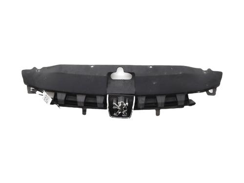 Used Grille PEUGEOT 307 (3A/C) 2.0 HDi 110 (107 hp) 30799929