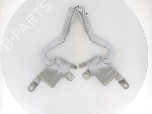 Hinge/Door check strap RENAULT CLIO IV (BH_) 1.5 dCi 75 | BP27913150C146 