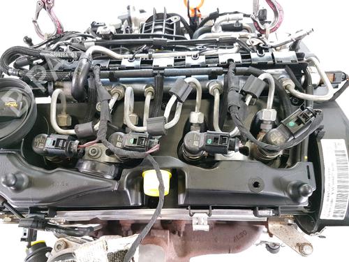Engine SEAT IBIZA IV (6J5, 6P1) 1.6 TDI | BP36795394M1  - Image 11