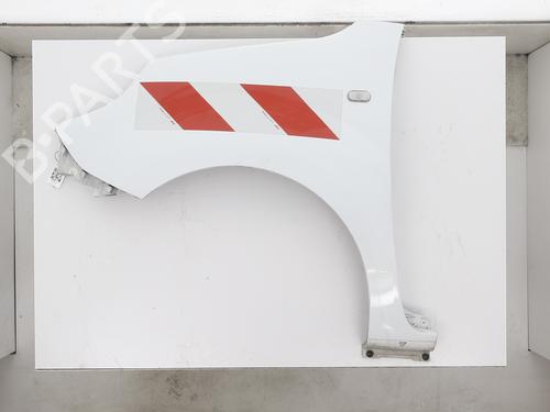 left-front-fenders-renault-kangoo-express-fw01_-2008-39972190 main image