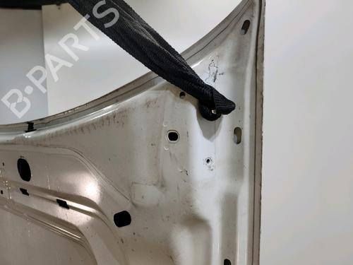 Hood FIAT DOBLO Cargo (263_)  | BP29110853C1 