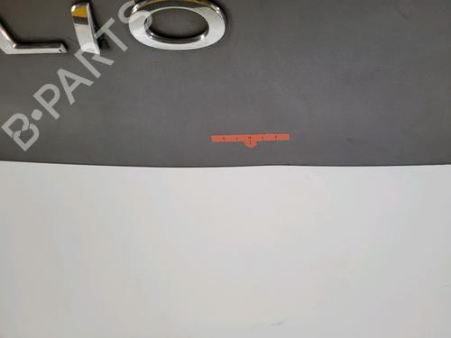 Tailgate RENAULT CLIO IV (BH_) 0.9 TCe 90 (BHNF, BHMA, BHMH, BHJK, BHJR) | BP29416772C6 