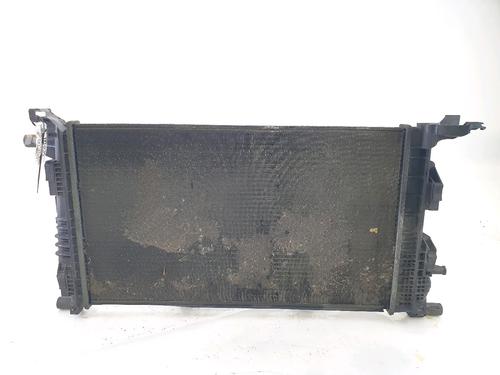 Used Water radiator RENAULT SCÉNIC III (JZ0/1_) 1.5 dCi (110 hp) 27913103
