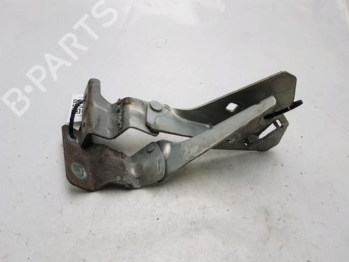 Hinge/Door check strap RENAULT MEGANE II (BM0/1_, CM0/1_) 1.9 dCi (BM0G, CM0G) | BP27919456C146