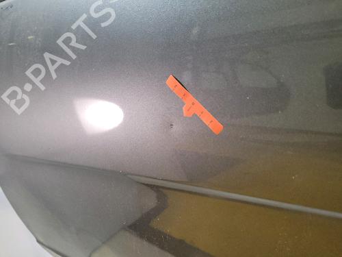 Left front door MERCEDES-BENZ A-CLASS (W169) A 160 (169.031, 169.331) | BP29056009C2 