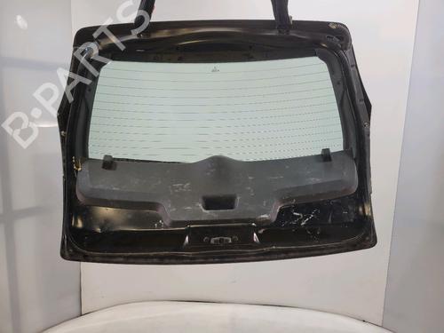 Tailgate CITROËN C3 I (FC_, FN_) 1.6 16V HDi | BP29932360C6