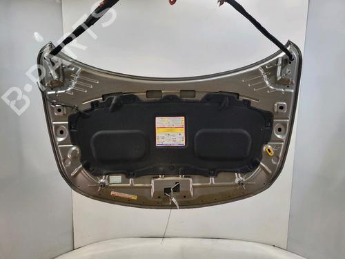 Hood FIAT TIPO Hatchback (356_, 357_) 1.6 D (356HXG1B, 356HXG11) | BP29198905C1 