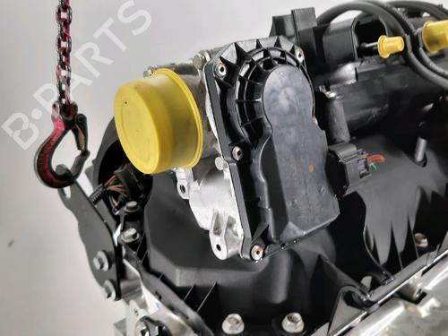 Engine RENAULT TWINGO II (CN0_) 1.2 16V (CN04, CN0B) | BP31876001M1