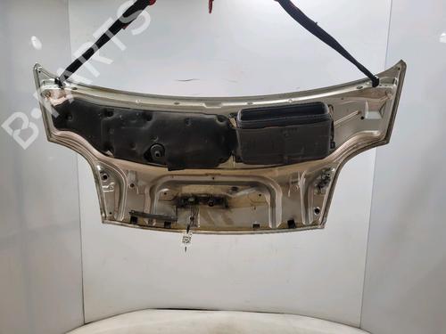 Hood OPEL VIVARO A Van (X83) 1.9 DTI (F7) | BP23141389C1