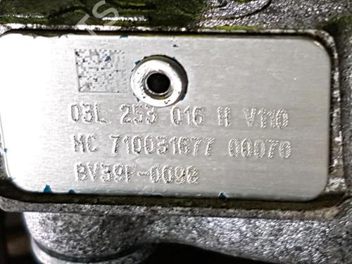 Engine VW POLO V (6R1, 6C1) 1.6 TDI | BP29443534M1 