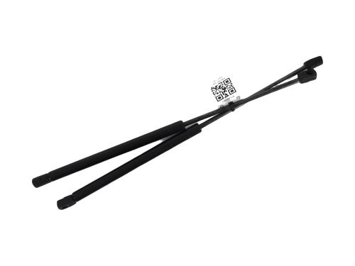 Gasdæmper bagklap NISSAN MICRA IV (K13K, K13KK) 1.2 (80 hp) 31303584