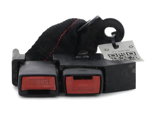 Used Seat buckle RENAULT CLIO III (BR0/1, CR0/1) 1.5 dCi (C/BR0G, C/BR1G) (68 hp) 29048425