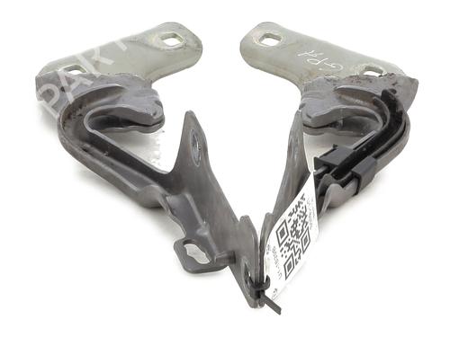 Hinge/Door check strap RENAULT CLIO III (BR0/1, CR0/1) 1.2 16V (BR02, BR0J, BR11, CR02, CR0J, CR11) | BP27908641C146 