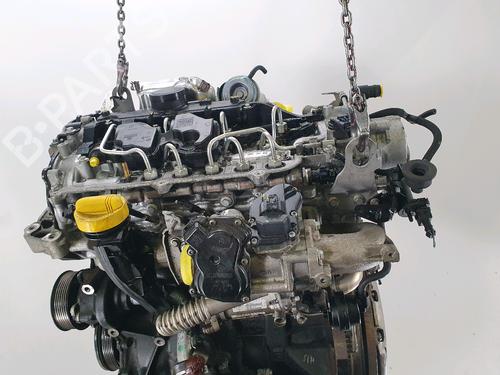 Engine RENAULT LAGUNA Coupe (DT0/1) 2.0 dCi (DT01, DT08, DT09, DT0K, DT12, DT1C, DT1D, DT1M,... | BP38260463M1 - Image 5