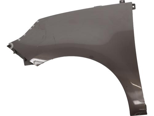 Used Left front fenders RENAULT SCÉNIC III (JZ0/1_) 1.9 dCi (JZ0J, JZ1J, JZ1K, JZ1S) (131 hp) 23438178
