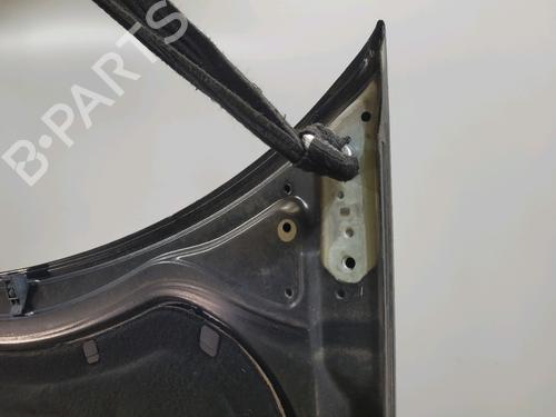 Hood VW POLO IV (9N_, 9A_) 1.4 TDI | BP29874621C1