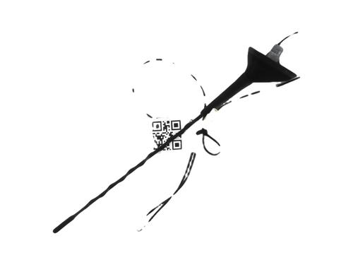 Antenne/Base RENAULT CLIO III (BR0/1, CR0/1) 1.2 16V (BR02, BR0J, BR11, CR02, CR0J, CR11) | BP29702076C140 