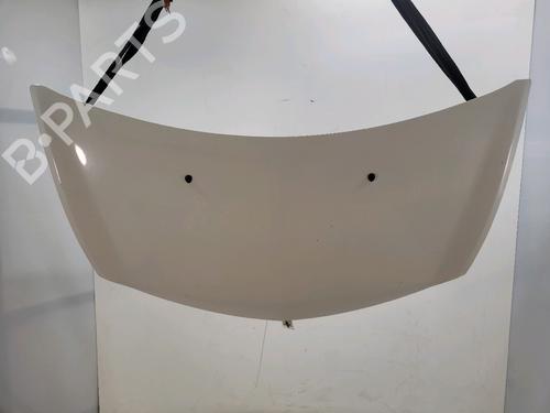 Used Hood RENAULT CLIO III (BR0/1, CR0/1) 1.5 dCi (75 hp) 33159869