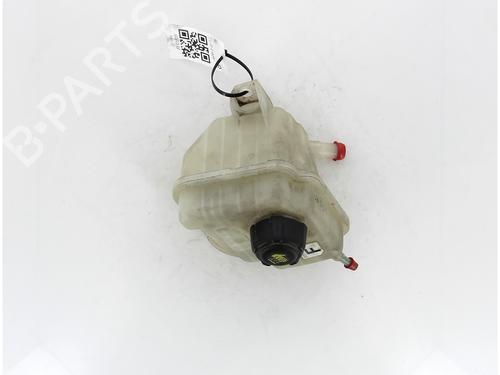Expansion tank NISSAN QASHQAI I (J10, NJ10) 1.5 dCi | BP17149973C120 