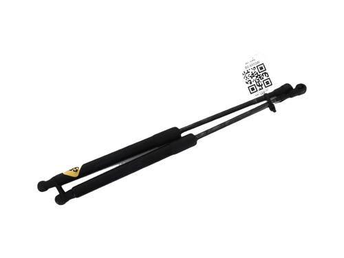 tailgate-lift-support-renault-twingo-ii-cn0_-2007-32693698 main image