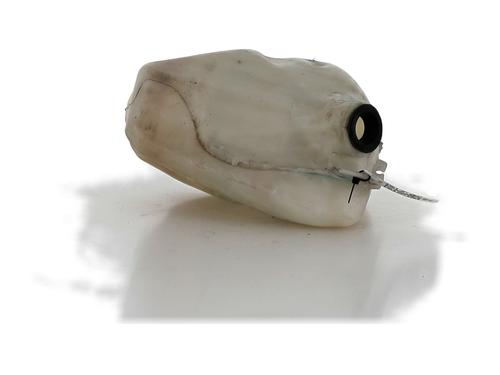Windscreen washer tank CITROËN C3 I (FC_, FN_)  | BP24349562C113 