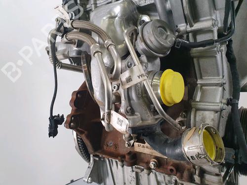 Engine FORD FIESTA VII (HJ, HF) 1.0 EcoBoost mHEV ACTIVE | BP38768167M1 - Image 6