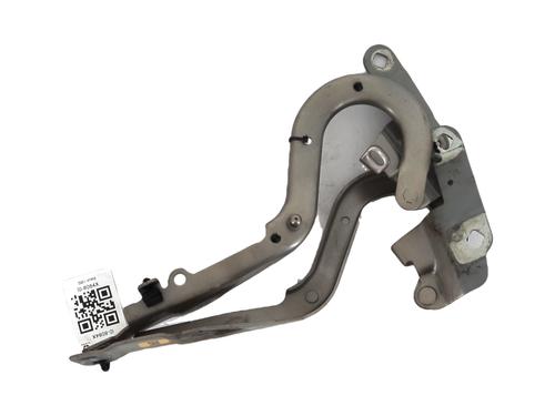 Dørhængsel/Dørbegrænser RENAULT ESPACE V (JR_) 1.6 dCi 160 (160 hp) 33159162