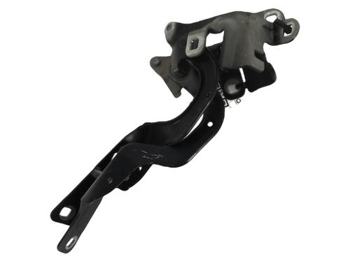 Used Hinge/Door check strap RENAULT CAPTUR I (J5_, H5_) 1.5 dCi 90 (J5N4, J5M5, J5MW, J5M6, J5AL, J5AJ) (90 hp) 27911934