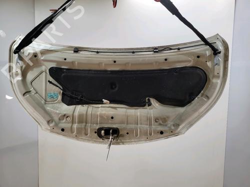 Hood NISSAN NV200 Van 1.5 dCi 85 (M20, M20N, M20M) | BP29552163C1 