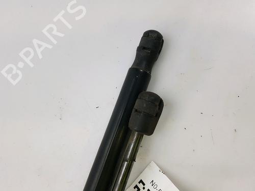 Tailgate lift support FORD FOCUS III 1.6 TDCi | BP27916854C138 