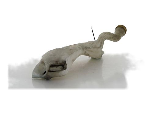 windscreen-washer-tank-renault-megane-iv-hatchback-b9amn_-2015-31350302 main image