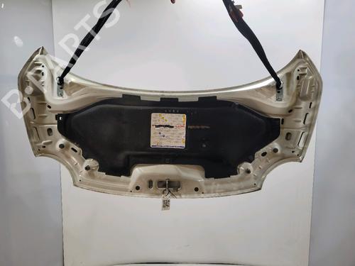 Hood FIAT 500 (312_) 1.2 (312AXA1A) | BP30190713C1 