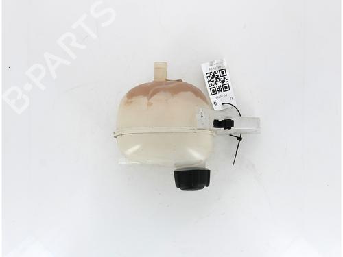 Expansion tank RENAULT TWINGO III (BCM_, BCA_) 1.0 SCe 70 (BCMB) | BP18067866C120 