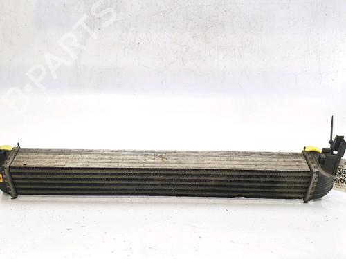 Intercooler VW POLO V (6R1, 6C1) 1.6 TDI | BP30118728M30