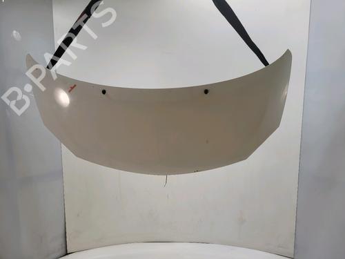 hood-renault-twingo-ii-cn0_-2007-39547565 main image