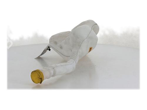 Windscreen washer tank RENAULT ZOE (BFM_)  | BP27814533C113