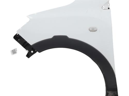 Used Left front fenders DACIA LODGY (JS_) 1.3 TCe 130 (JSNE) (131 hp) 30093922