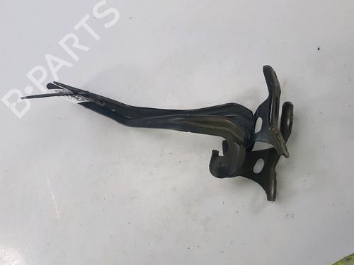Hinge/Door check strap HONDA CIVIC VIII Hatchback (FN, FK) 2.2 CTDi (FK3) | BP27919443C146 