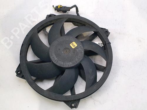 Used Radiator fan PEUGEOT 3008 I MPV (0U_) 2.0 HDi (163 hp) 29495396