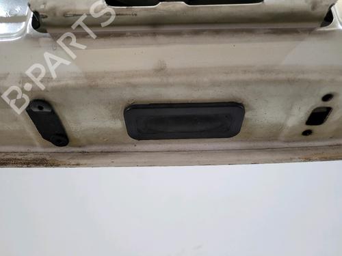 Tailgate RENAULT CLIO III (BR0/1, CR0/1) 1.5 dCi (C/BR0G, C/BR1G) | BP29495830C6 