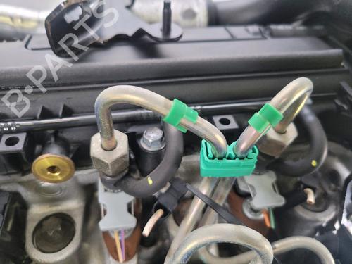 Engine RENAULT MEGANE II (BM0/1_, CM0/1_) 1.5 dCi (BM1F, CM1F) | BP29018827M1