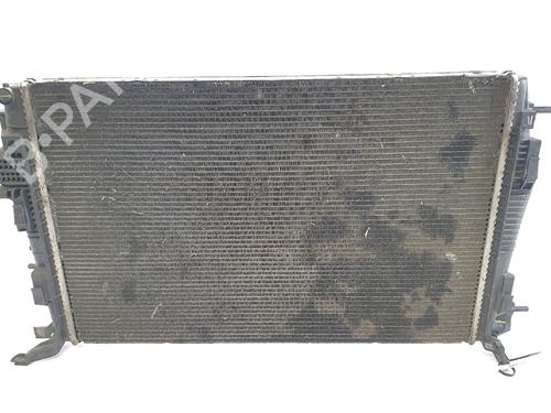 Water radiator RENAULT SCÉNIC III (JZ0/1_) 1.9 dCi (JZ0J, JZ1J, JZ1K, JZ1S) | BP30118719M31 