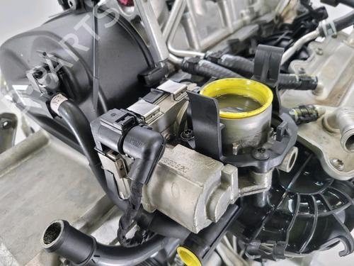 Engine VW POLO VI (AW1, BZ1, AE1) 1.0 TSI | BP29346365M1 