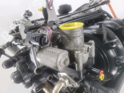 Engine SEAT IBIZA III (6L1) 1.4 16V | BP30653669M1 