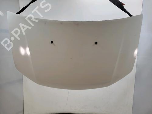 hood-dacia-sandero-ii-2012-32717647 main image