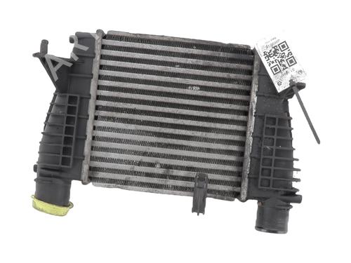 Used Intercooler RENAULT MEGANE III Hatchback (BZ0/1_, B3_) 1.9 dCi (BZ0N, BZ0J) (131 hp) 31303838