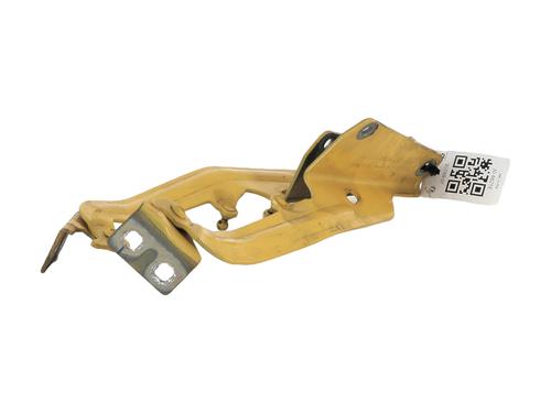Hinge/Door check strap RENAULT KANGOO Express (FW0/1_)  | BP27912804C146 